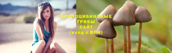 эйфоретик Гатчина